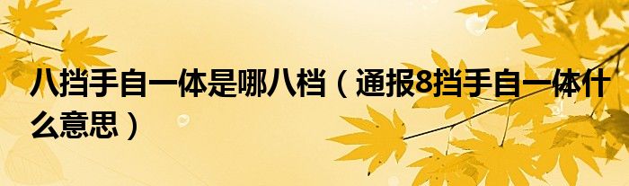 八挡手自一体是哪八档(通报8挡手自一体什么意思)