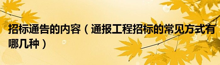 招标通告的内容(通报工程招标的常见方式有哪几种)