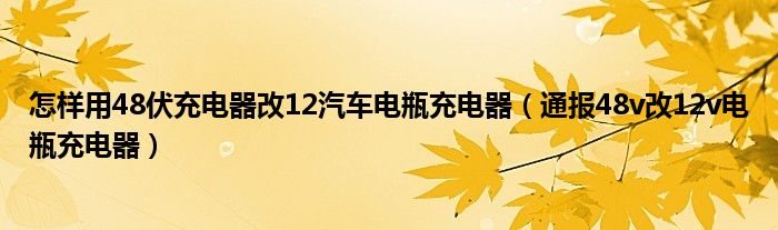 怎样用48伏充电器改12汽车电瓶充电器(通报48v改12v电瓶充电器)
