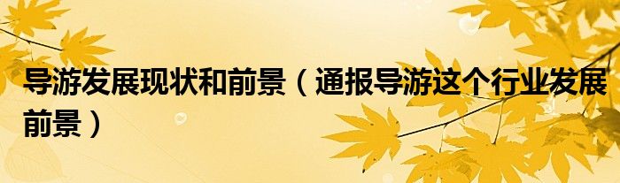 导游发展现状和前景(通报导游这个行业发展前景)