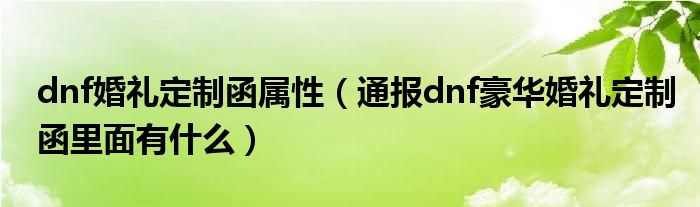 dnf婚礼定制函属性(通报dnf豪华婚礼定制函里面有什么)