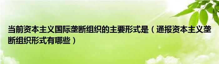 当前资本主义国际垄断组织的主要形式是(通报资本主义垄断组织形式有哪些)