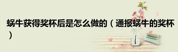 蜗牛获得奖杯后是怎么做的(通报蜗牛的奖杯)