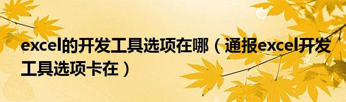 excel的开发工具选项在哪(通报excel开发工具选项卡在)