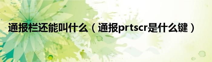 通报栏还能叫什么(通报prtscr是什么键)