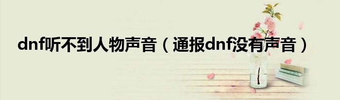 dnf听不到人物声音(通报dnf没有声音)