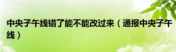 中央子午线错了能不能改过来(通报中央子午线)