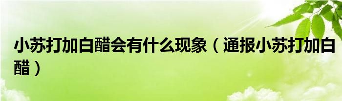 小苏打加白醋会有什么现象(通报小苏打加白醋)