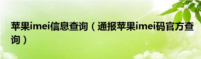苹果imei信息查询(通报苹果imei码官方查询)