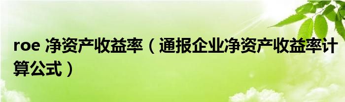 roe 净资产收益率(通报企业净资产收益率计算公式)