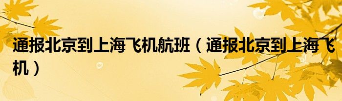 通报北京到上海飞机航班(通报北京到上海飞机)