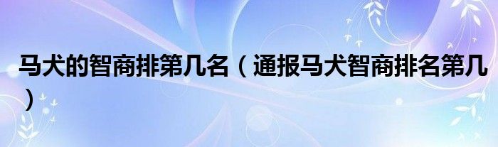 马犬的智商排第几名(通报马犬智商排名第几)