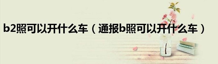 b2照可以开什么车(通报b照可以开什么车)
