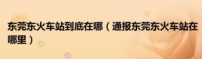 东莞东火车站到底在哪(通报东莞东火车站在哪里)