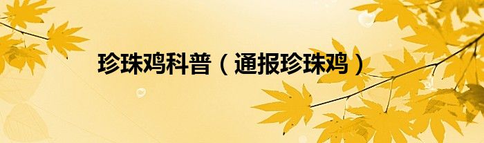 珍珠鸡科普（通报珍珠鸡）