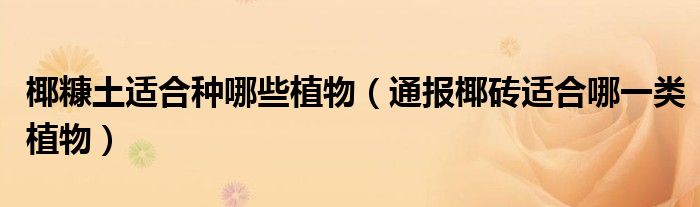 椰糠土适合种哪些植物(通报椰砖适合哪一类植物)