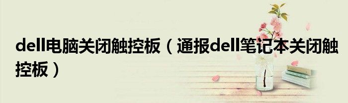 dell电脑关闭触控板(通报dell笔记本关闭触控板)