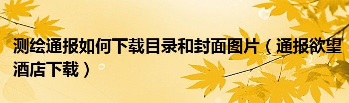 测绘通报如何下载目录和封面图片(通报欲望酒店下载)