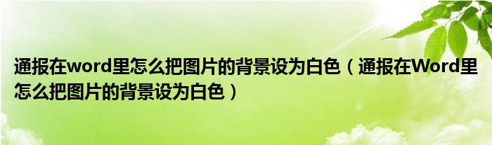 通报在word里怎么把图片的背景设为白色(通报在Word里怎么把图片的背景设为白色)