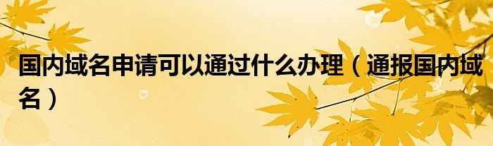 国内域名申请可以通过什么办理(通报国内域名)