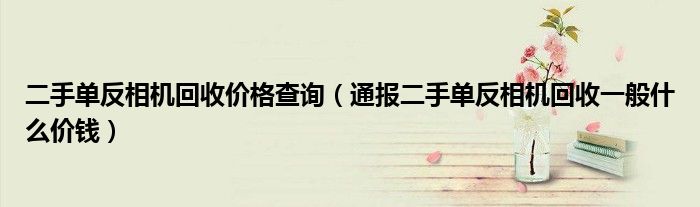 二手单反相机回收价格查询(通报二手单反相机回收一般什么价钱)
