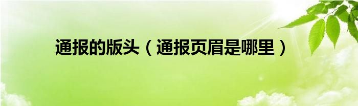 通报的版头(通报页眉是哪里)