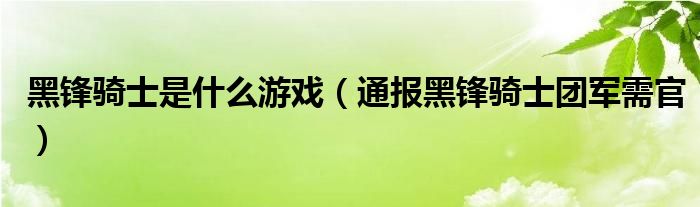 黑锋骑士是什么游戏(通报黑锋骑士团军需官)