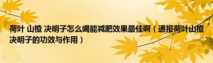 荷叶 山楂 决明子怎么喝能减肥效果最佳啊(通报荷叶山楂决明子的功效与作用)