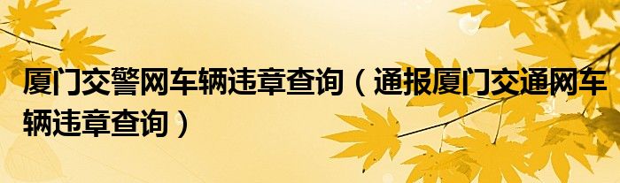 厦门交警网车辆违章查询(通报厦门交通网车辆违章查询)
