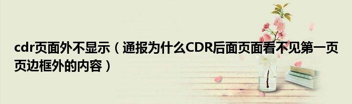 cdr页面外不显示(通报为什么CDR后面页面看不见第一页页边框外的内容)