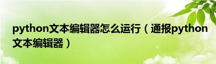 python文本编辑器怎么运行(通报python文本编辑器)