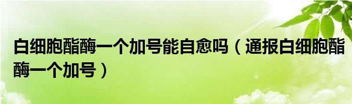 白细胞酯酶一个加号能自愈吗(通报白细胞酯酶一个加号)