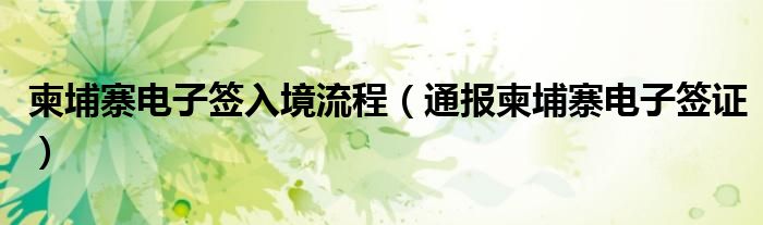 柬埔寨电子签入境流程(通报柬埔寨电子签证)