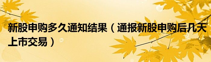 新股申购多久通知结果(通报新股申购后几天上市交易)