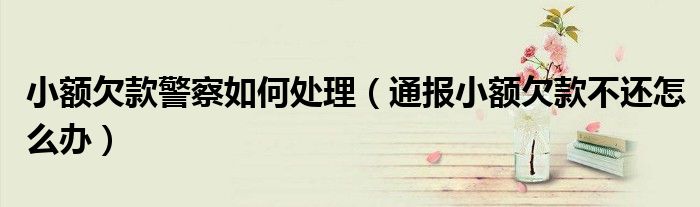 小额欠款警察如何处理(通报小额欠款不还怎么办)