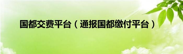 国都交费平台(通报国都缴付平台)