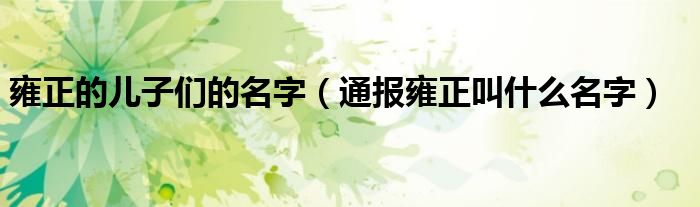 雍正的儿子们的名字(通报雍正叫什么名字)
