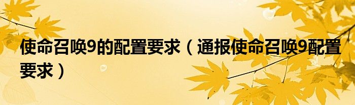 使命召唤9的配置要求(通报使命召唤9配置要求)