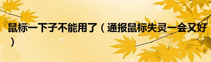 鼠标一下子不能用了(通报鼠标失灵一会又好)
