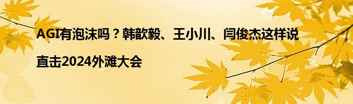 AGI有泡沫吗?韩歆毅、王小川、闫俊杰这样说|直击2024外滩大会