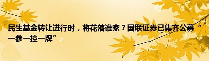 民生基金转让进行时,将花落谁家?国联证券已集齐公募“一参一控一牌”