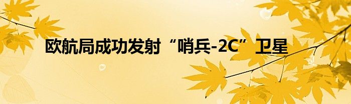 欧航局成功发射“哨兵-2C”卫星