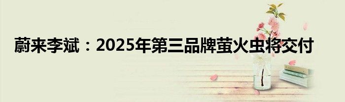 蔚来李斌:2025年第三品牌萤火虫将交付