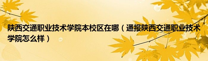 陕西交通职业技术学院本校区在哪(通报陕西交通职业技术学院怎么样)