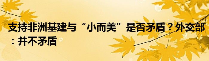 支持非洲基建与“小而美”是否矛盾?外交部:并不矛盾