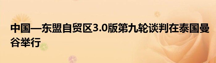 中国—东盟自贸区3.0版第九轮谈判在泰国曼谷举行