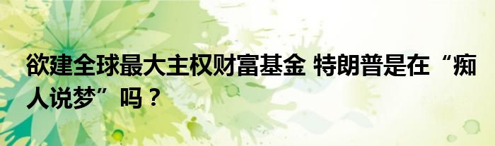 欲建全球最大主权财富基金 特朗普是在“痴人说梦”吗?