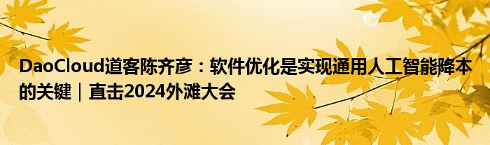 DaoCloud道客陈齐彦:软件优化是实现通用人工智能降本的关键|直击2024外滩大会