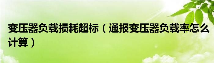 变压器负载损耗超标(通报变压器负载率怎么计算)