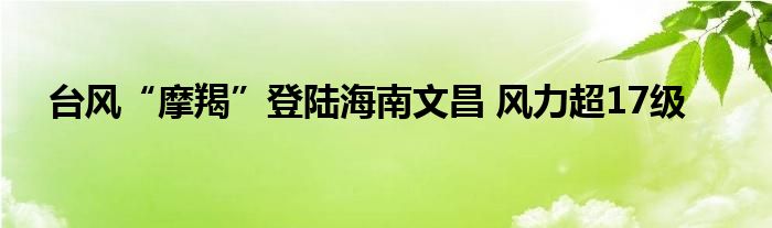 台风“摩羯”登陆海南文昌 风力超17级